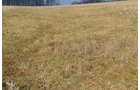 Property photo 84 - 98+/- Acres Offered in 6 Tracts or Combinations, Noble County, Indiana Farm
